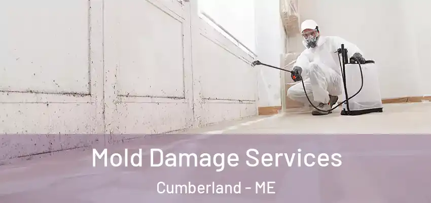  Mold Damage Services Cumberland - ME