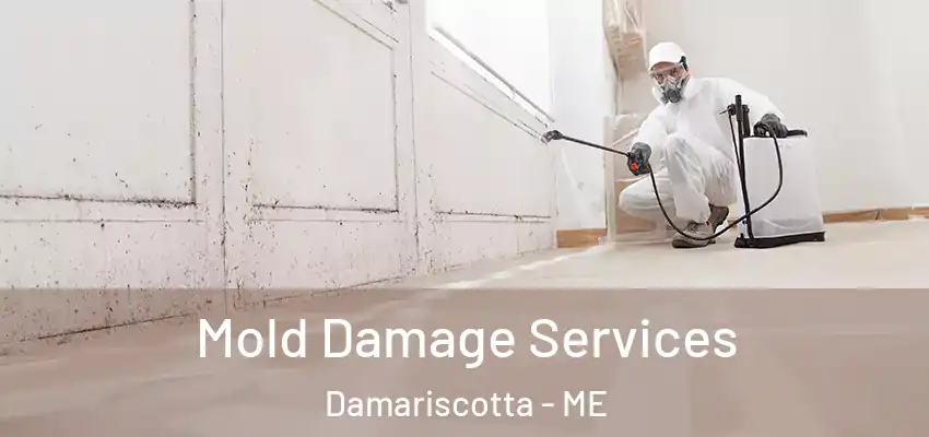  Mold Damage Services Damariscotta - ME