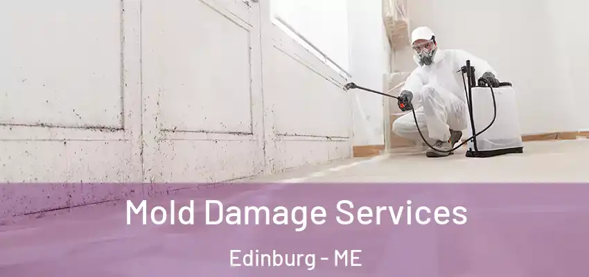  Mold Damage Services Edinburg - ME
