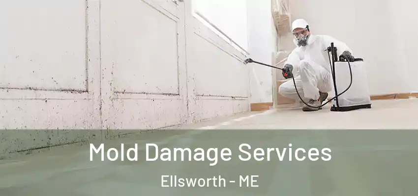  Mold Damage Services Ellsworth - ME