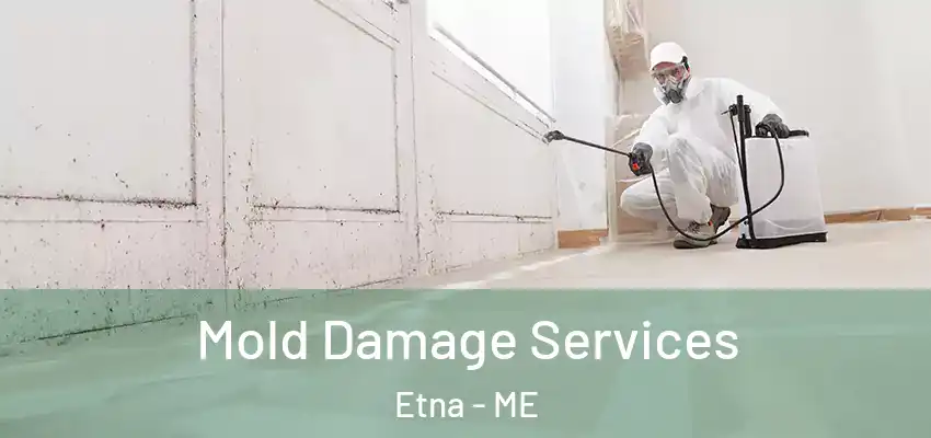  Mold Damage Services Etna - ME
