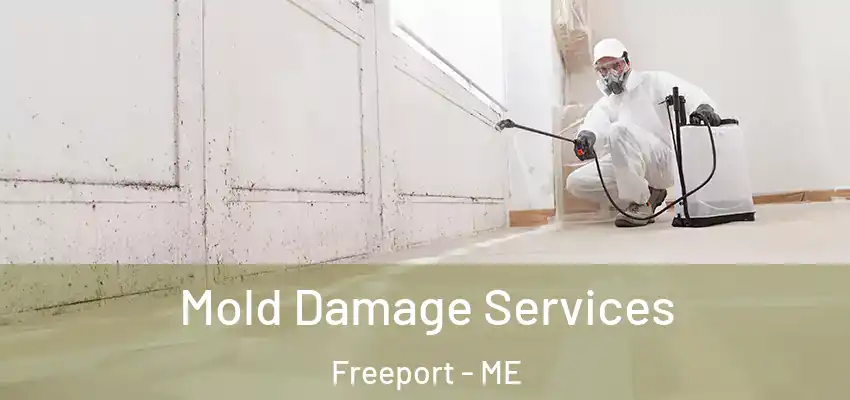  Mold Damage Services Freeport - ME