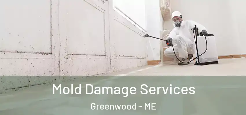  Mold Damage Services Greenwood - ME