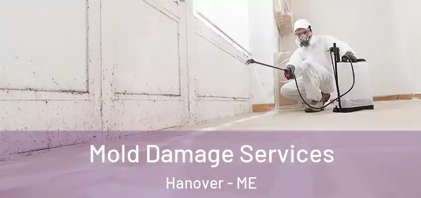  Mold Damage Services Hanover - ME