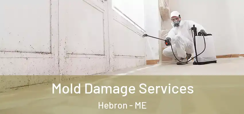  Mold Damage Services Hebron - ME