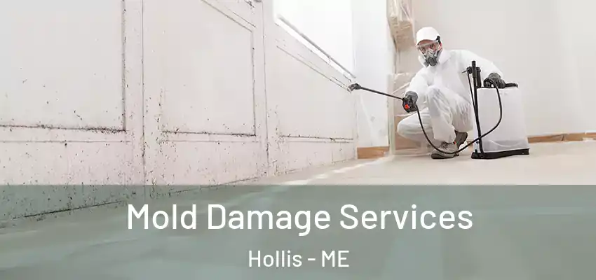  Mold Damage Services Hollis - ME