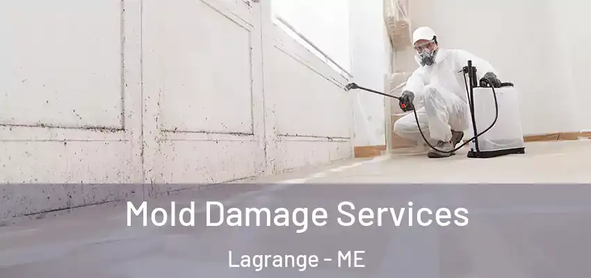  Mold Damage Services Lagrange - ME