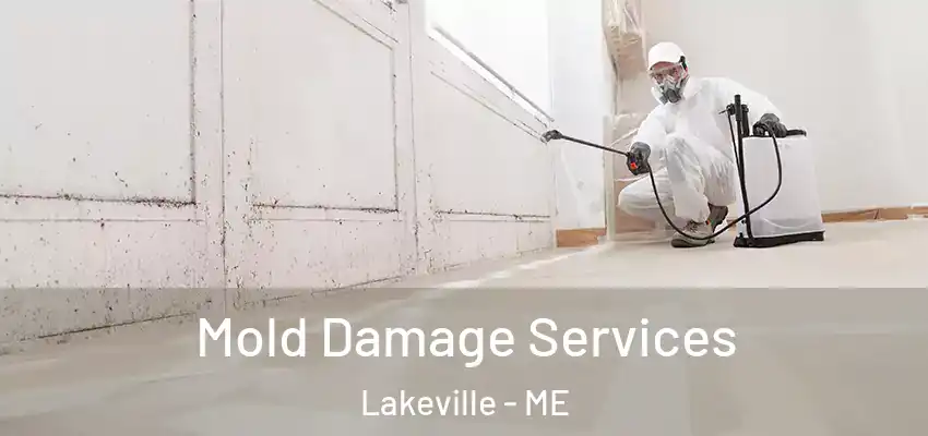  Mold Damage Services Lakeville - ME