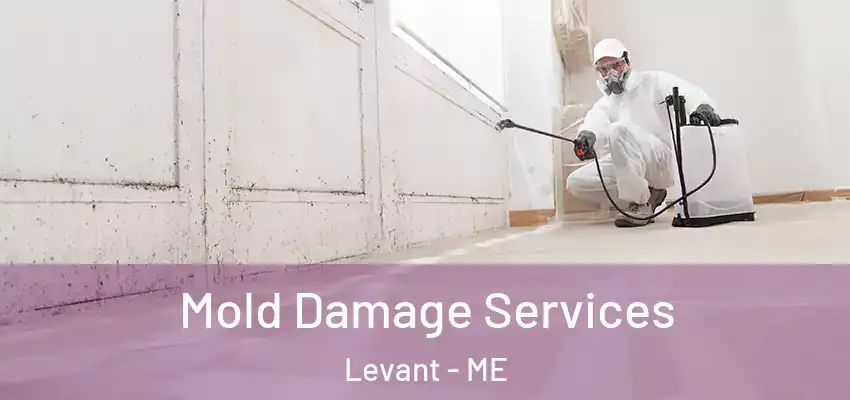  Mold Damage Services Levant - ME