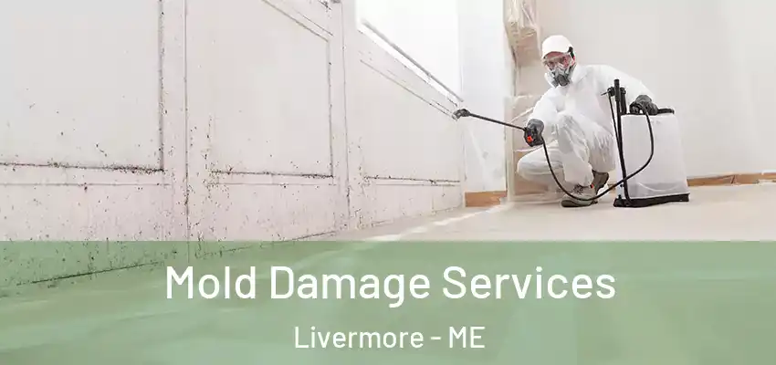  Mold Damage Services Livermore - ME