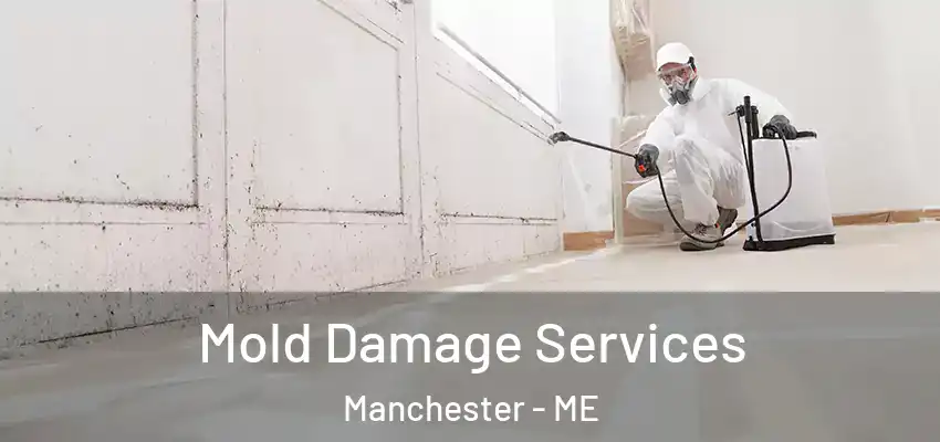 Mold Damage Services Manchester - ME