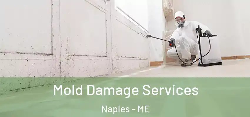  Mold Damage Services Naples - ME