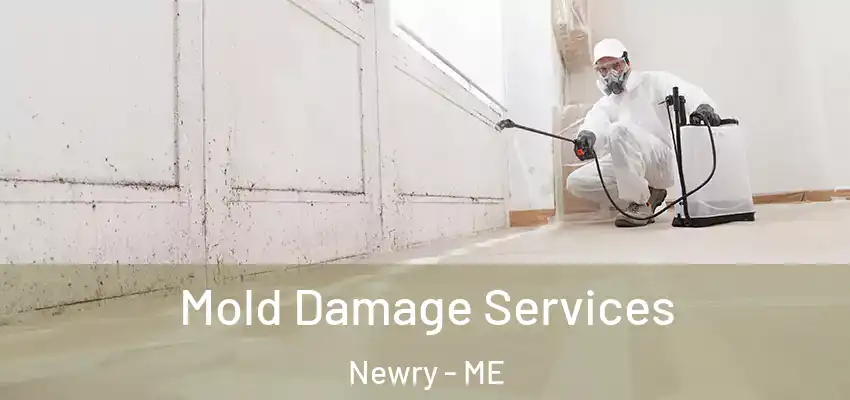  Mold Damage Services Newry - ME