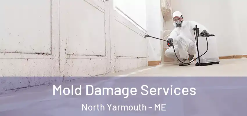  Mold Damage Services North Yarmouth - ME