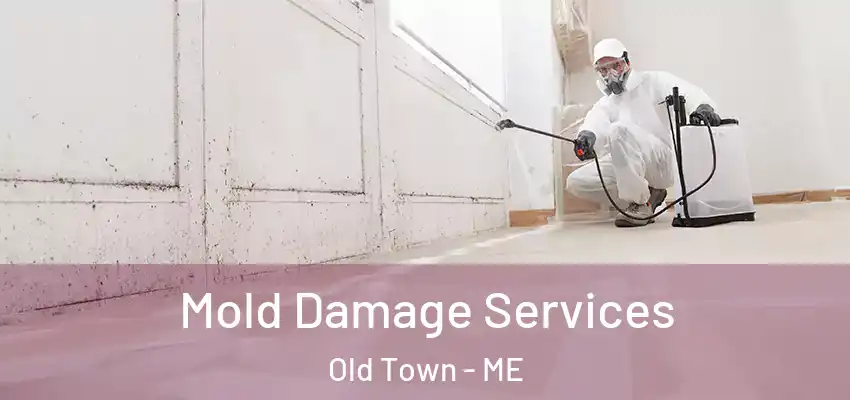  Mold Damage Services Old Town - ME