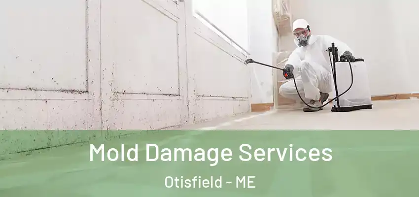  Mold Damage Services Otisfield - ME
