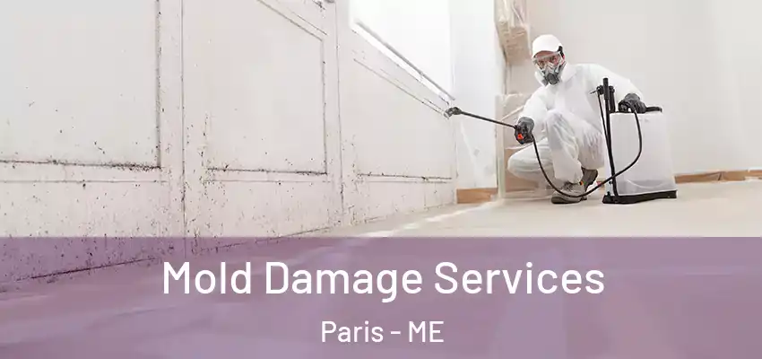  Mold Damage Services Paris - ME