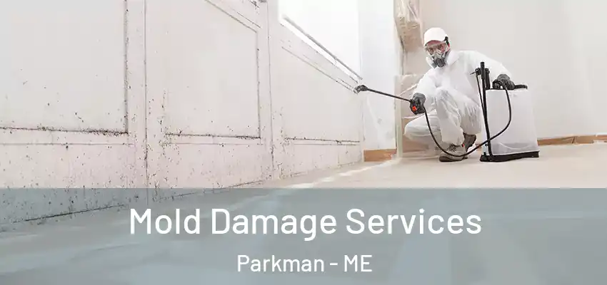  Mold Damage Services Parkman - ME