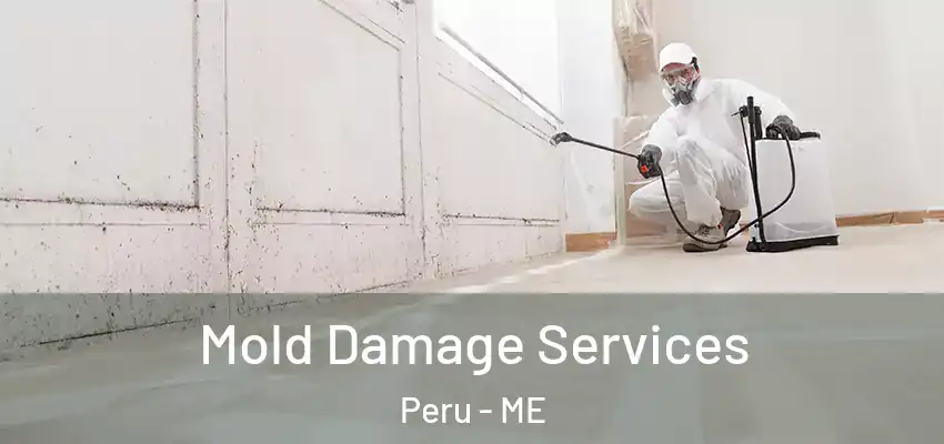  Mold Damage Services Peru - ME