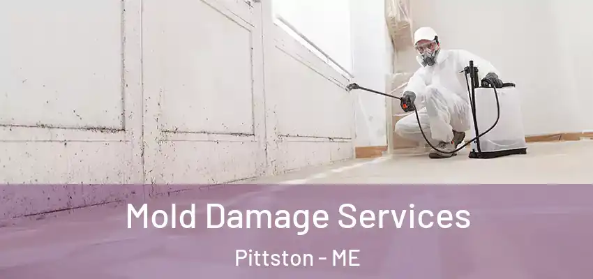  Mold Damage Services Pittston - ME