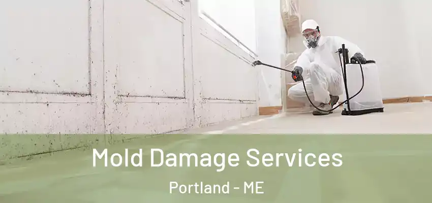  Mold Damage Services Portland - ME