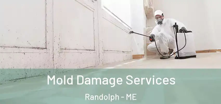 Mold Damage Services Randolph - ME