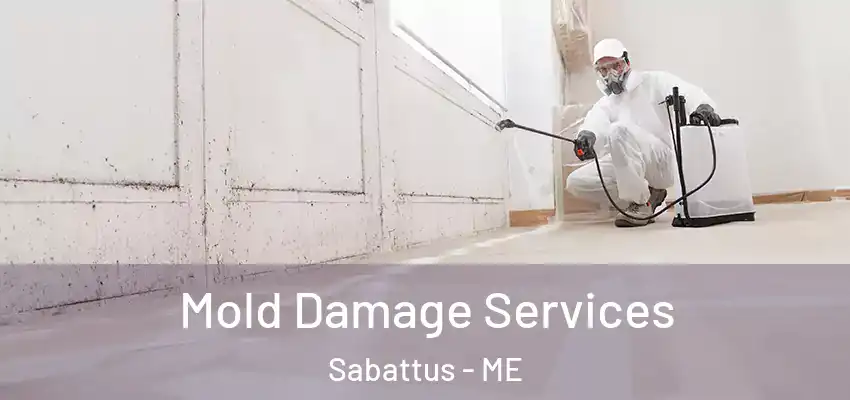  Mold Damage Services Sabattus - ME