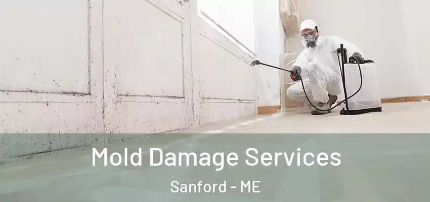 Mold Damage Services Sanford - ME