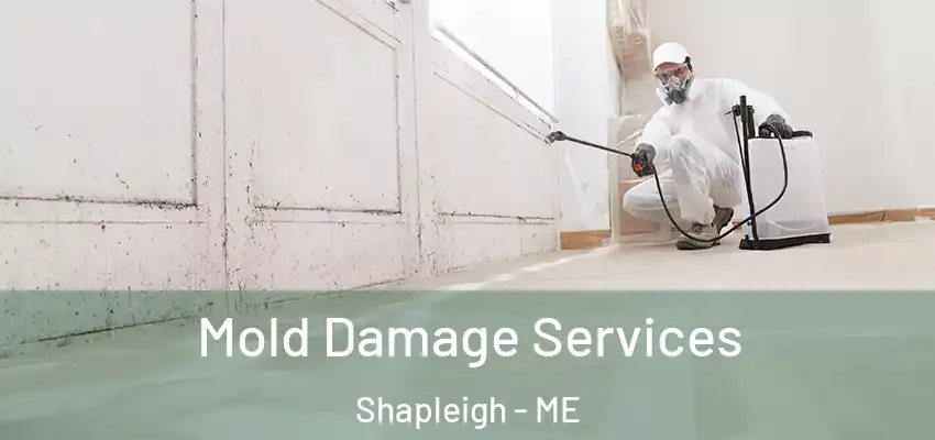  Mold Damage Services Shapleigh - ME