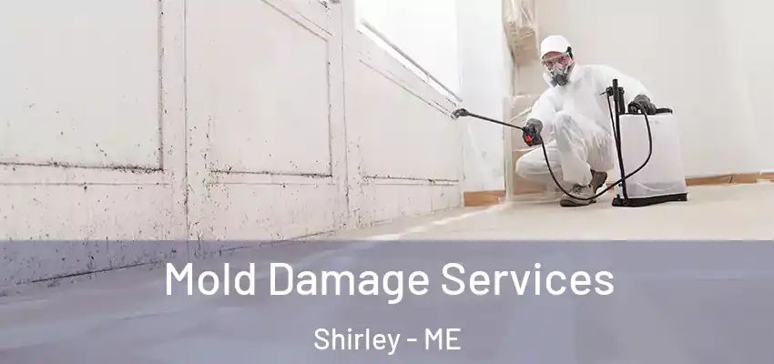  Mold Damage Services Shirley - ME