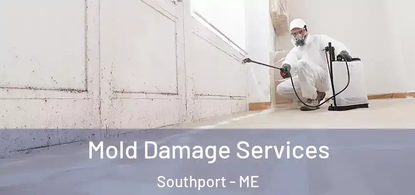  Mold Damage Services Southport - ME