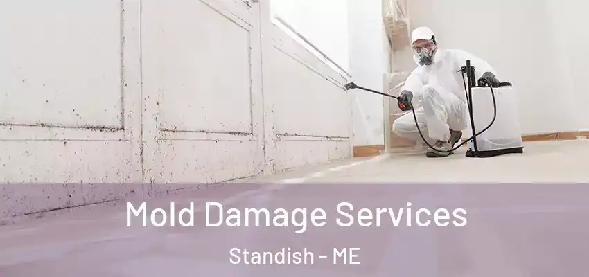  Mold Damage Services Standish - ME