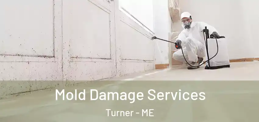  Mold Damage Services Turner - ME