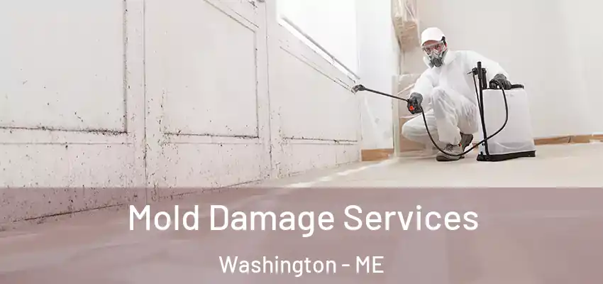  Mold Damage Services Washington - ME