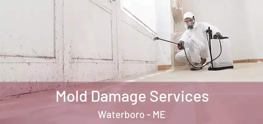  Mold Damage Services Waterboro - ME