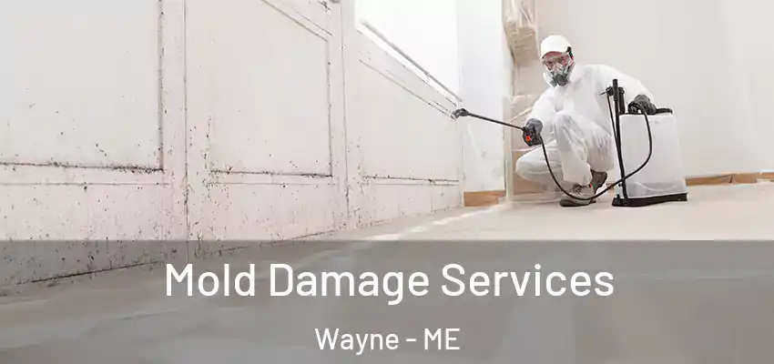  Mold Damage Services Wayne - ME