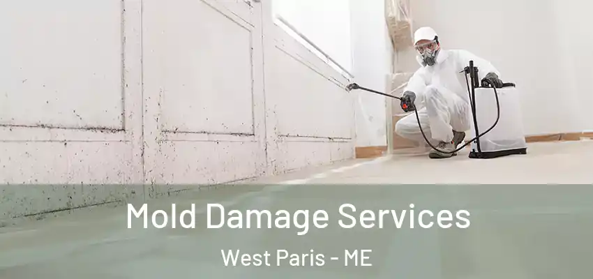  Mold Damage Services West Paris - ME