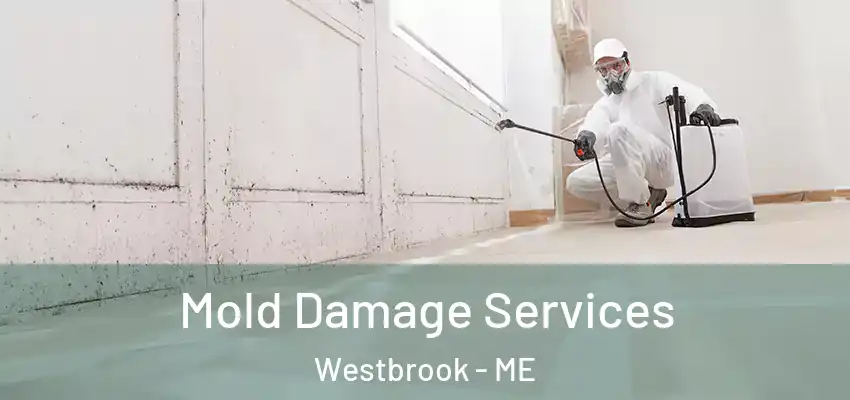  Mold Damage Services Westbrook - ME