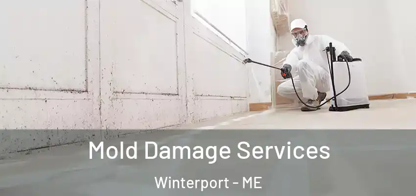  Mold Damage Services Winterport - ME