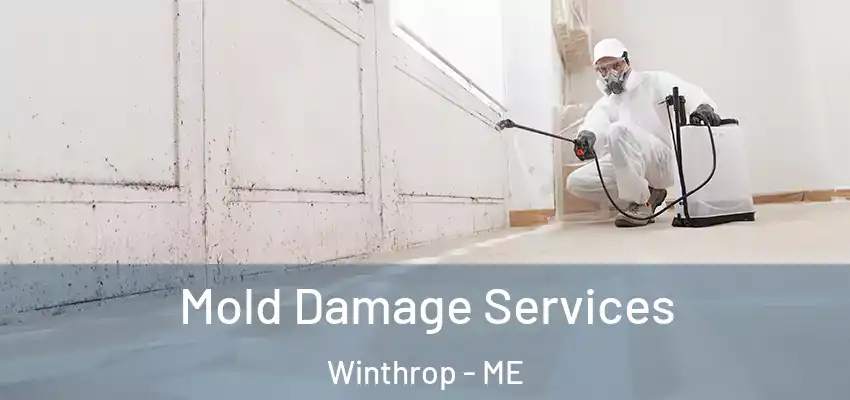  Mold Damage Services Winthrop - ME