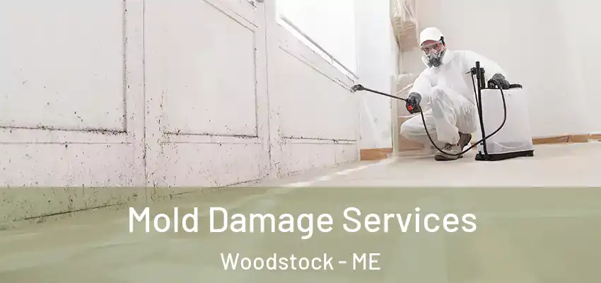  Mold Damage Services Woodstock - ME