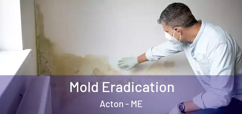  Mold Eradication Acton - ME
