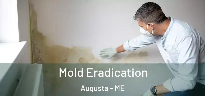  Mold Eradication Augusta - ME