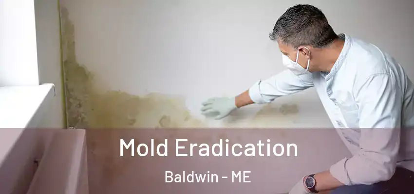  Mold Eradication Baldwin - ME