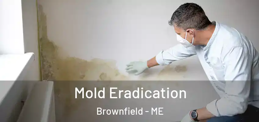  Mold Eradication Brownfield - ME