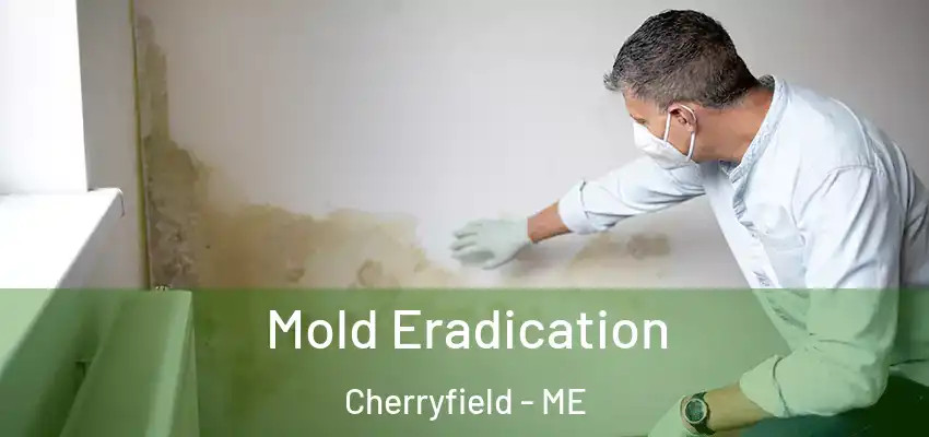  Mold Eradication Cherryfield - ME