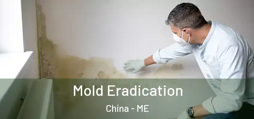  Mold Eradication China - ME