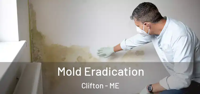  Mold Eradication Clifton - ME