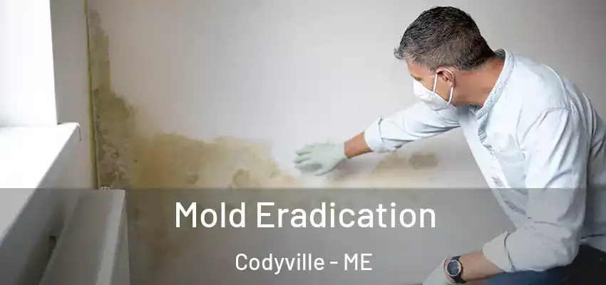  Mold Eradication Codyville - ME