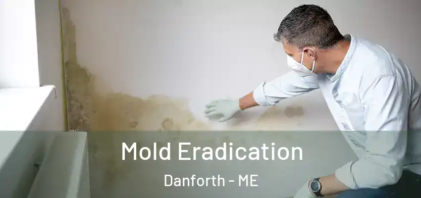  Mold Eradication Danforth - ME